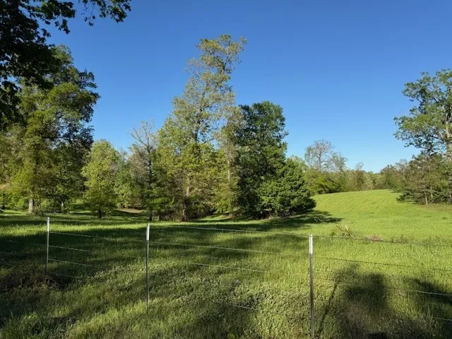 434 Walnut Creek Road Simsboro, LA 71275