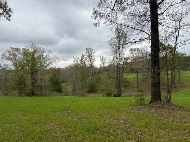 434 Walnut Creek Road Simsboro, LA 71275