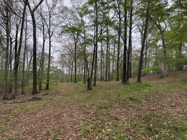 434 Walnut Creek Road Simsboro, LA 71275