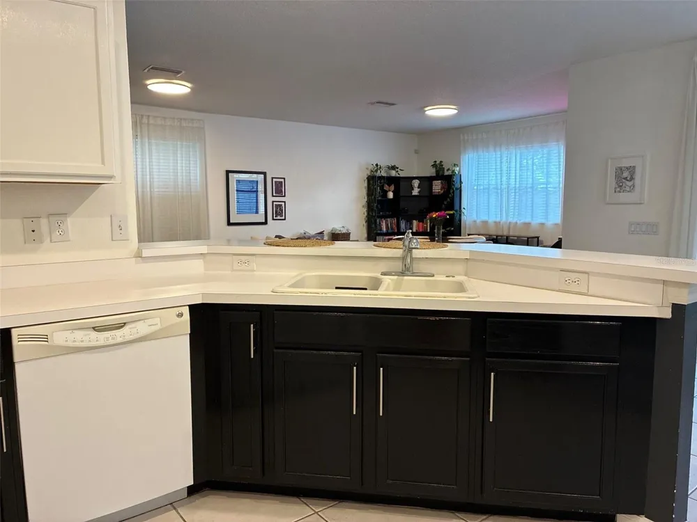 8026 CARRIAGE POINTE DRIVE Gibsonton, FL 33534