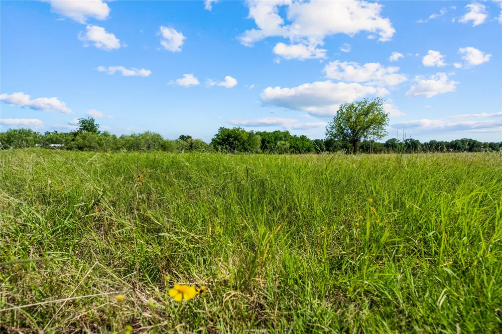 Lakewood Drive Whitney, TX 76692