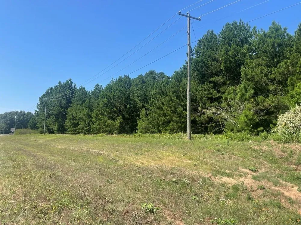 Hwy 287 Grapeland, TX 75844