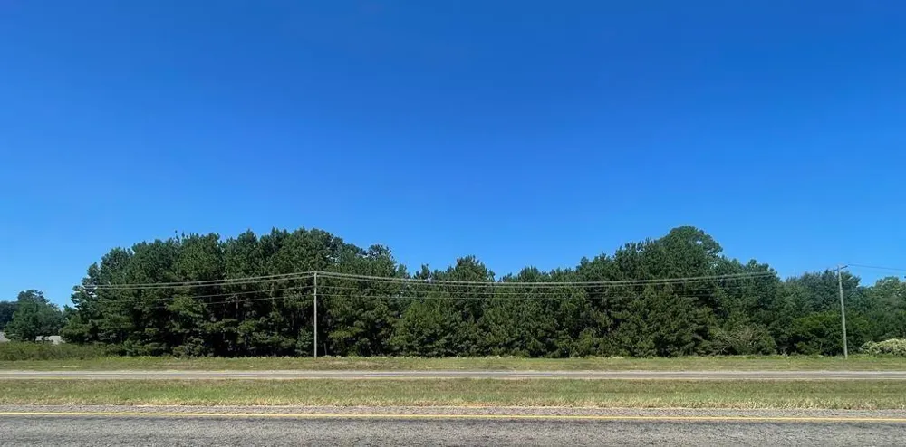 Hwy 287 Grapeland, TX 75844