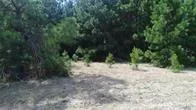 Hwy 287 Grapeland, TX 75844