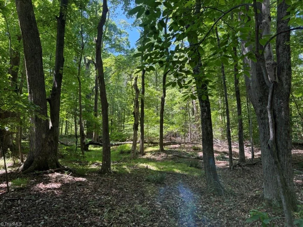 00 Salem Church Road Reidsville, NC 27320