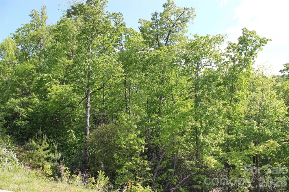 101 Wood Owl Court Hendersonville, NC 28791