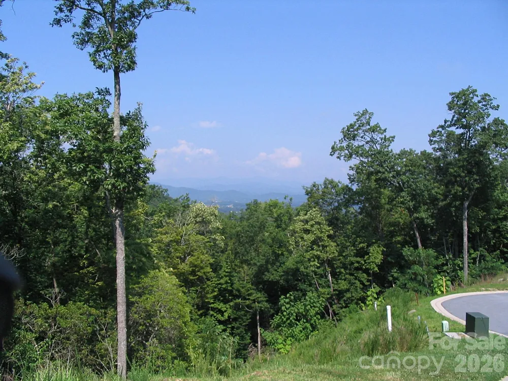101 Wood Owl Court Hendersonville, NC 28791