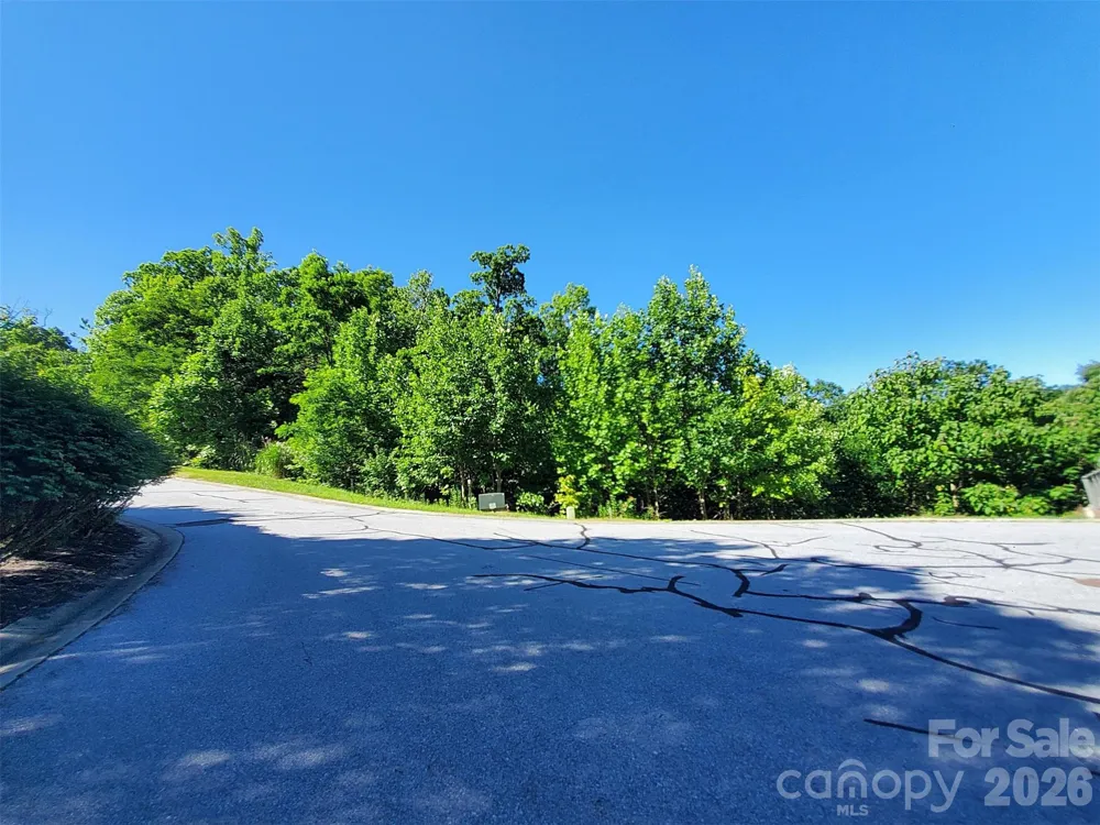 101 Wood Owl Court Hendersonville, NC 28791