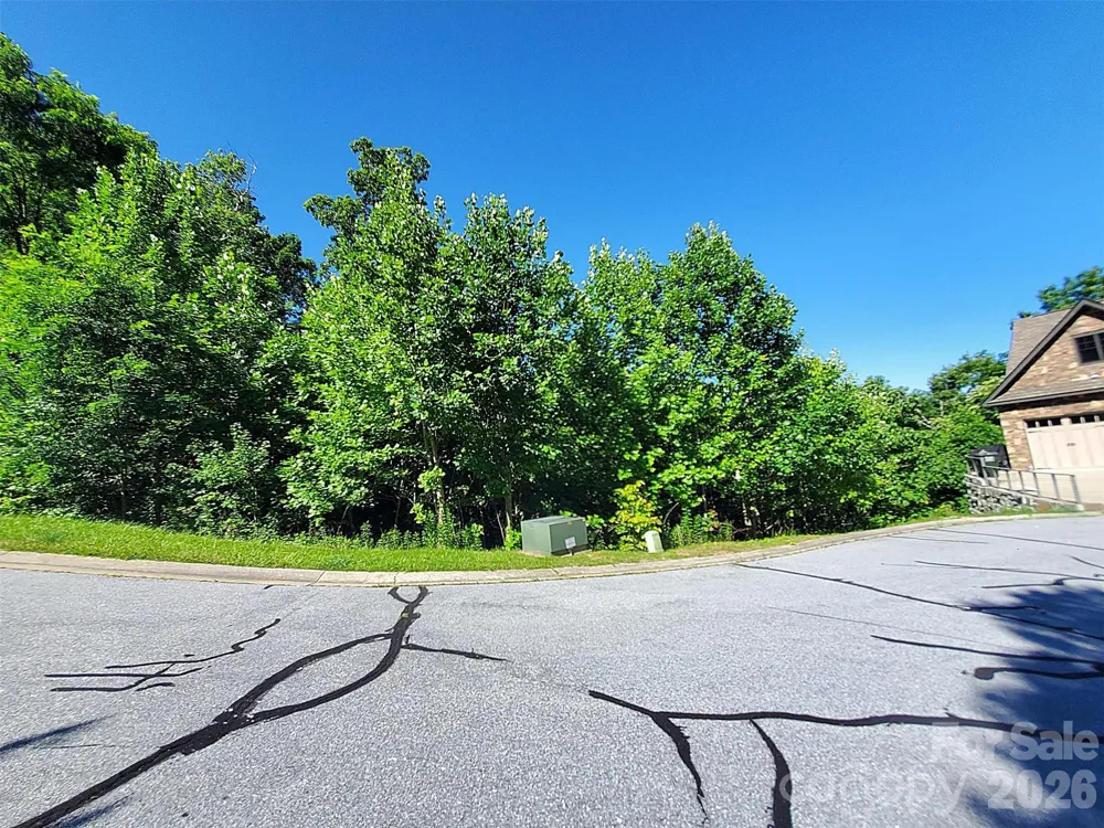 101 Wood Owl Court Hendersonville, NC 28791