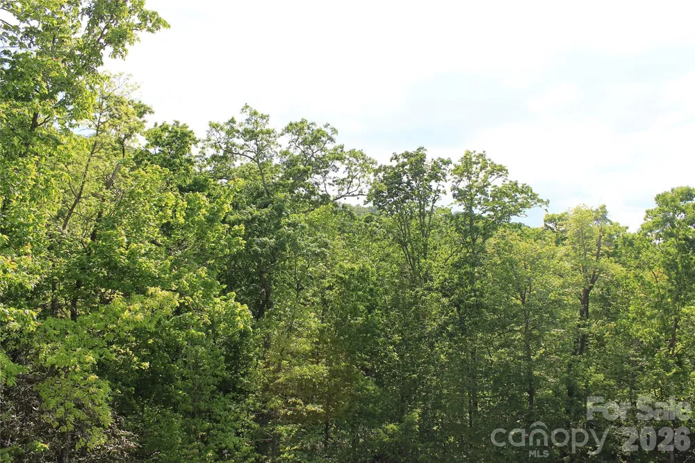 101 Wood Owl Court Hendersonville, NC 28791