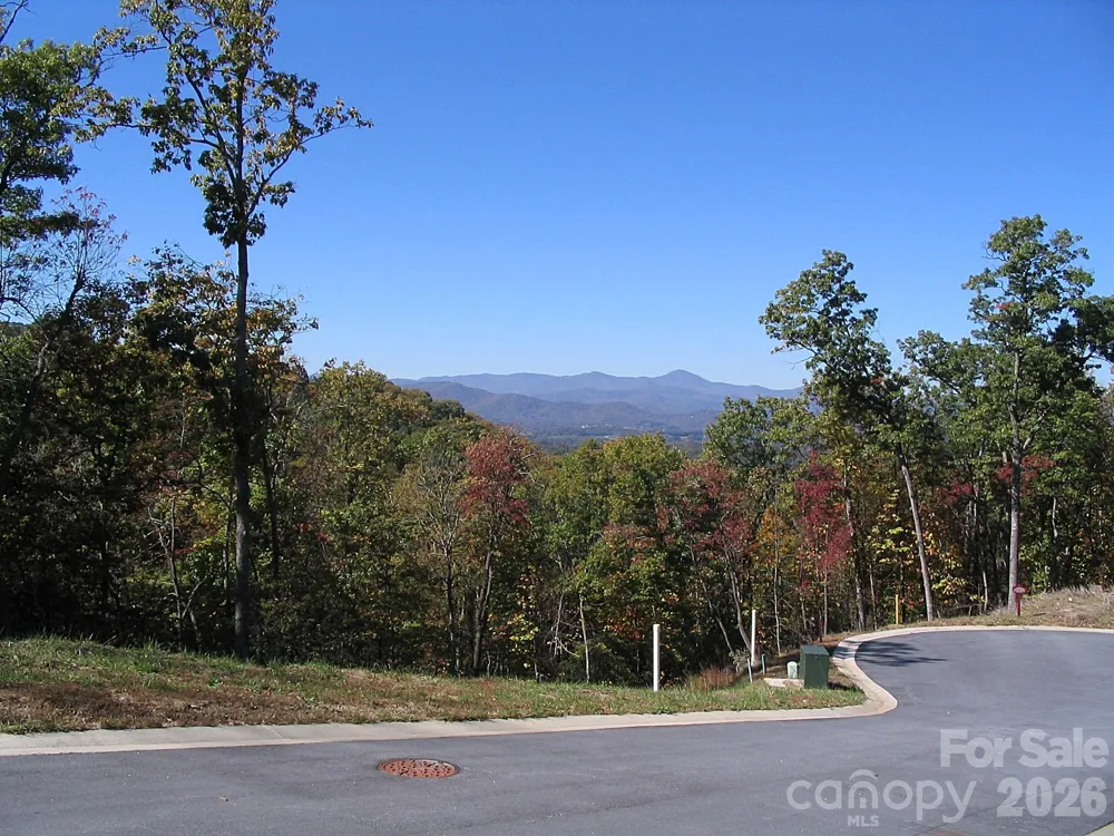 101 Wood Owl Court Hendersonville, NC 28791