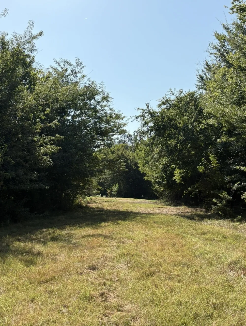 CR 4744 Sulphur Springs, TX 75482