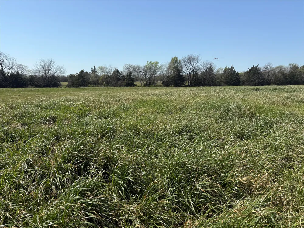 CR 4744 Sulphur Springs, TX 75482