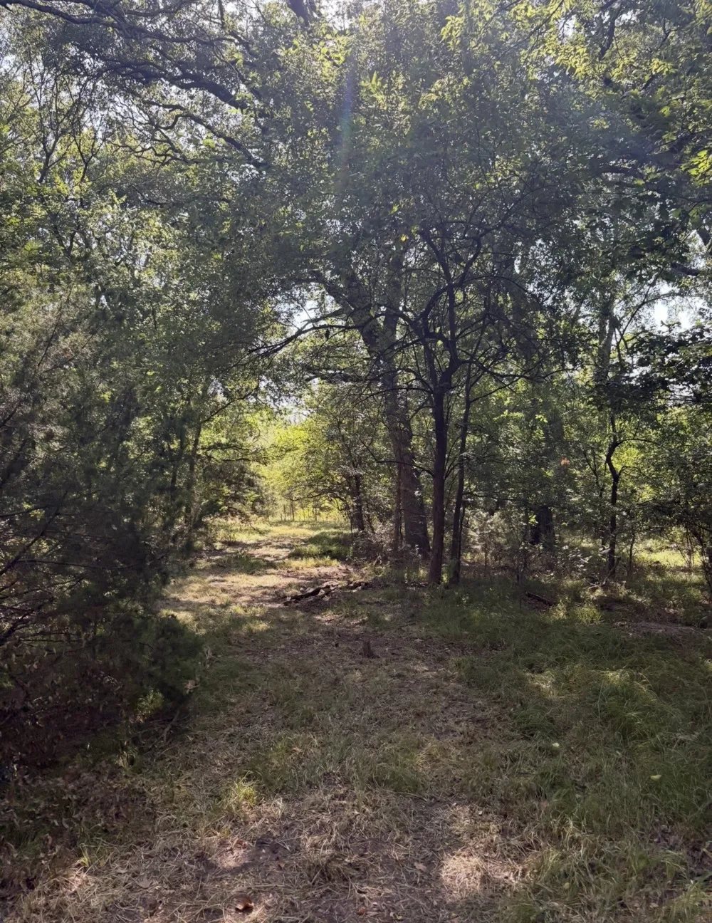 CR 4744 Sulphur Springs, TX 75482