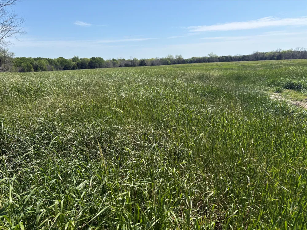 CR 4744 Sulphur Springs, TX 75482
