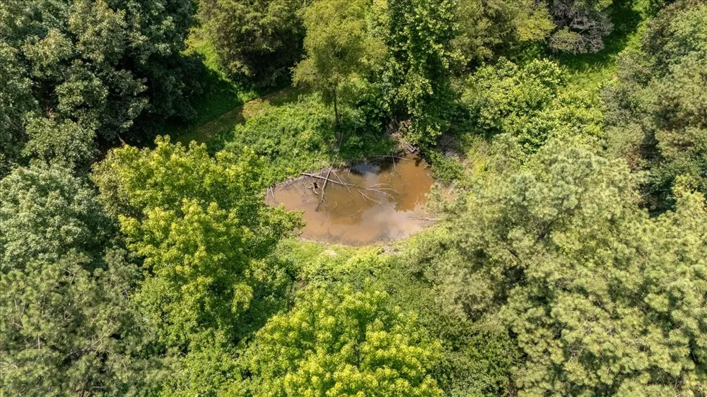 2548 Highway 43 Leoma, TN 38468