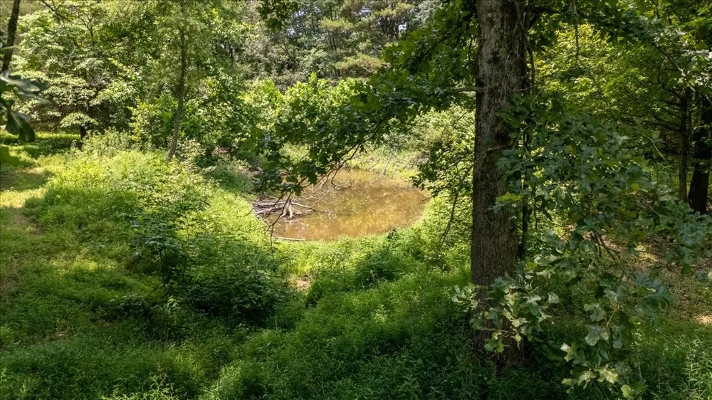 2548 Highway 43 Leoma, TN 38468