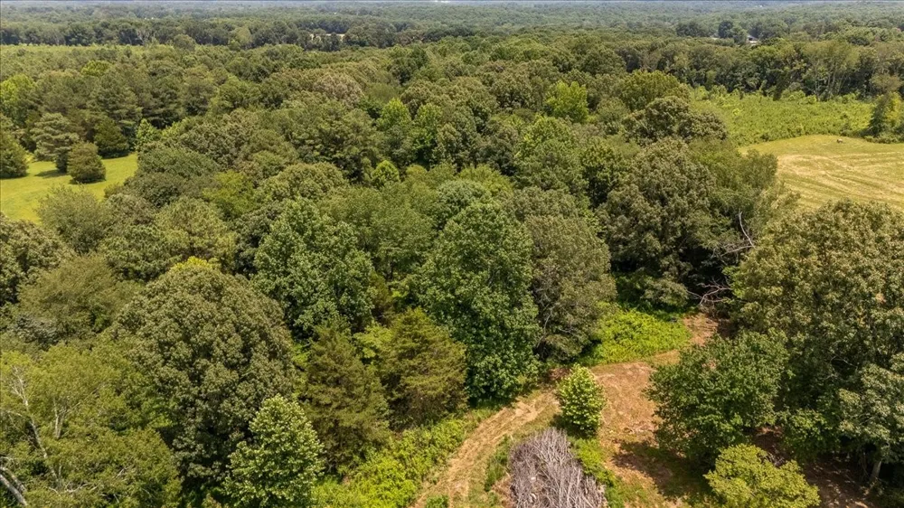 2548 Highway 43 Leoma, TN 38468