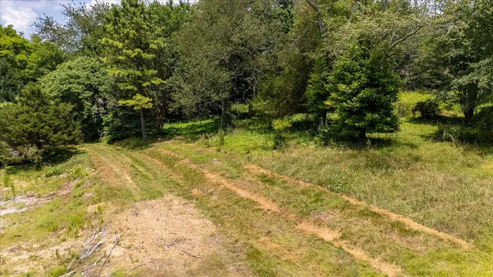 2548 Highway 43 Leoma, TN 38468
