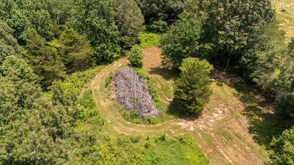 2548 Highway 43 Leoma, TN 38468