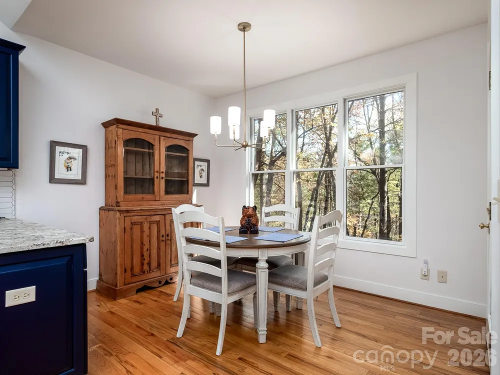 44 Gasga Court Brevard, NC 28712