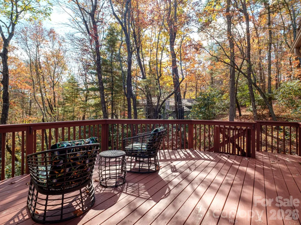 44 Gasga Court Brevard, NC 28712