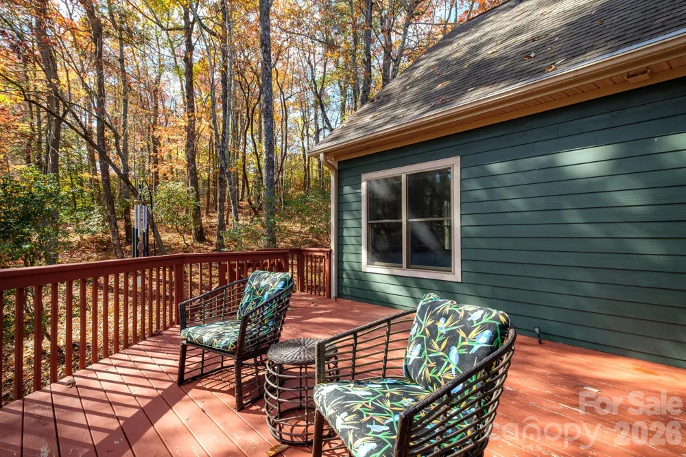 44 Gasga Court Brevard, NC 28712