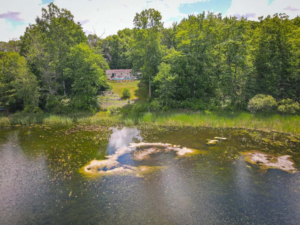 9339 Maple Hill Road Reynolds Township, MI 49329