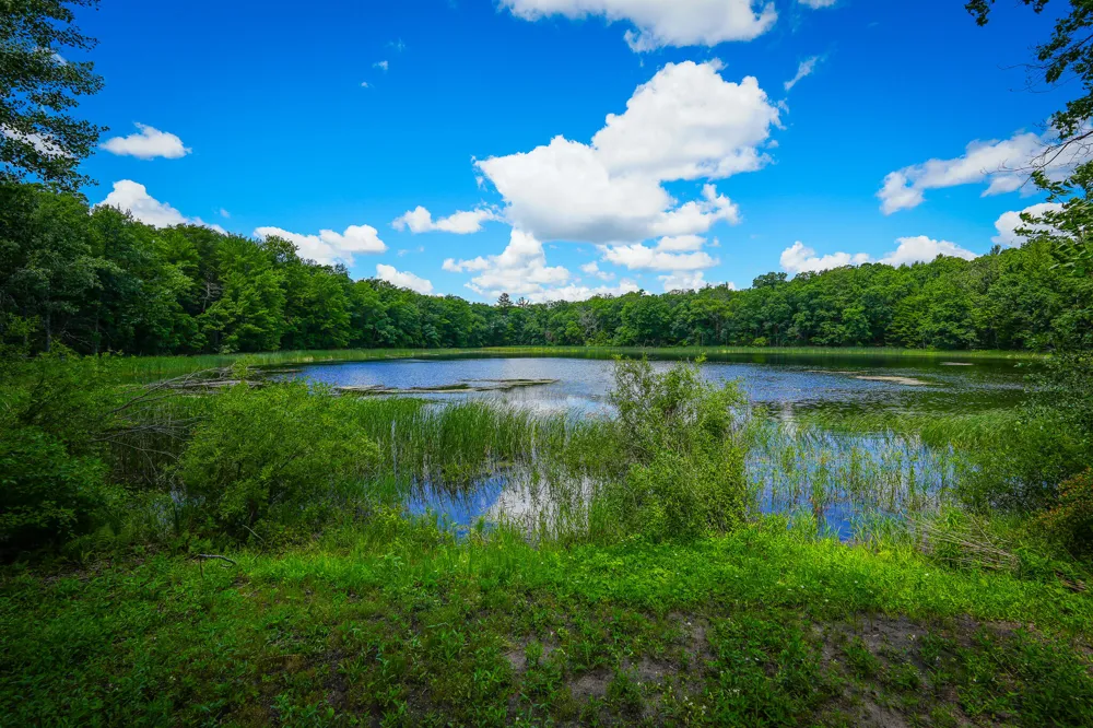 9339 Maple Hill Road Reynolds Township, MI 49329