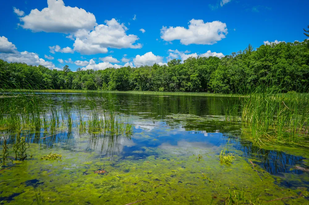 9339 Maple Hill Road Reynolds Township, MI 49329