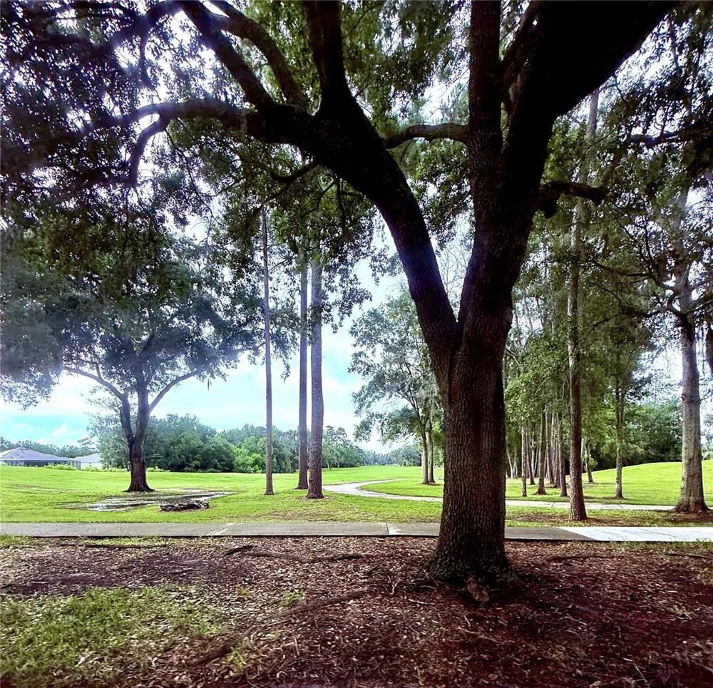 5038 CADIZ COURT Brooksville, FL 34604