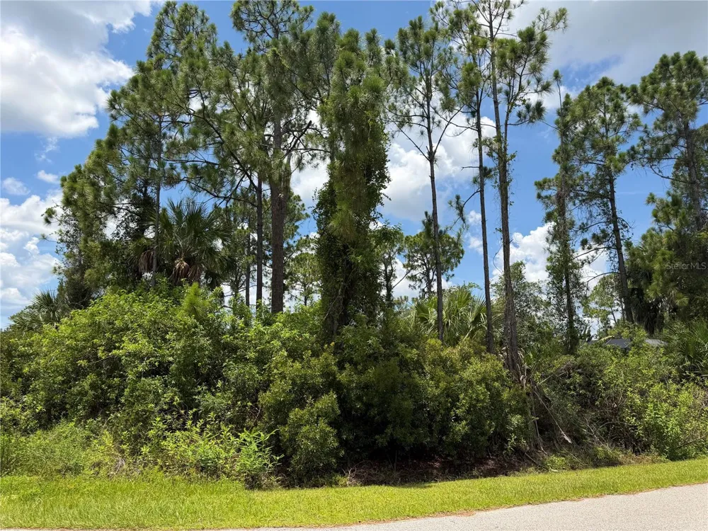 RING STREET North Port, FL 34286