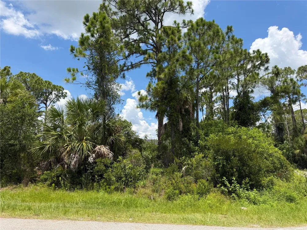 RING STREET North Port, FL 34286