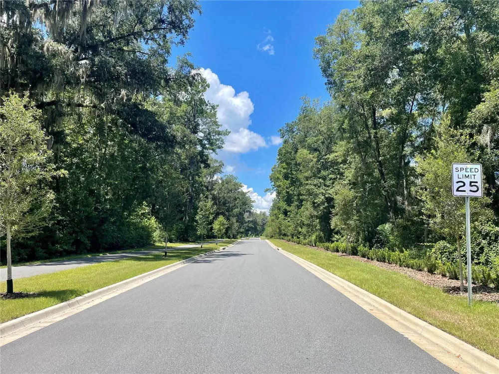 TBD NW 150TH BOULEVARD Newberry, FL 32669