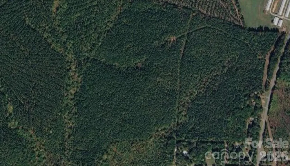 2939 NC Hwy 134 Highway Troy, NC 27371
