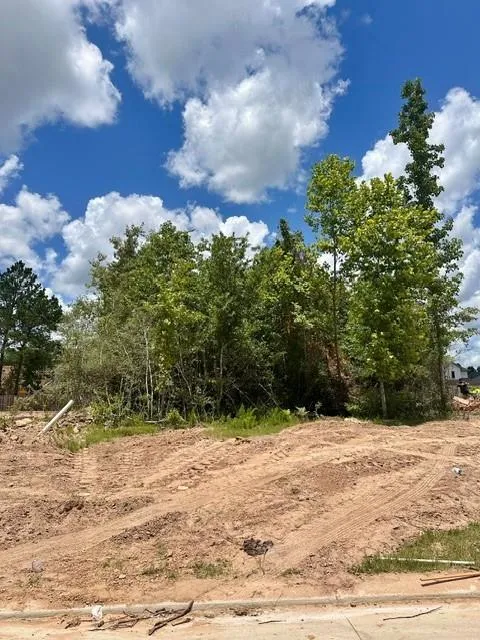 41810 Hubbard Street Todd Mission, TX 77316