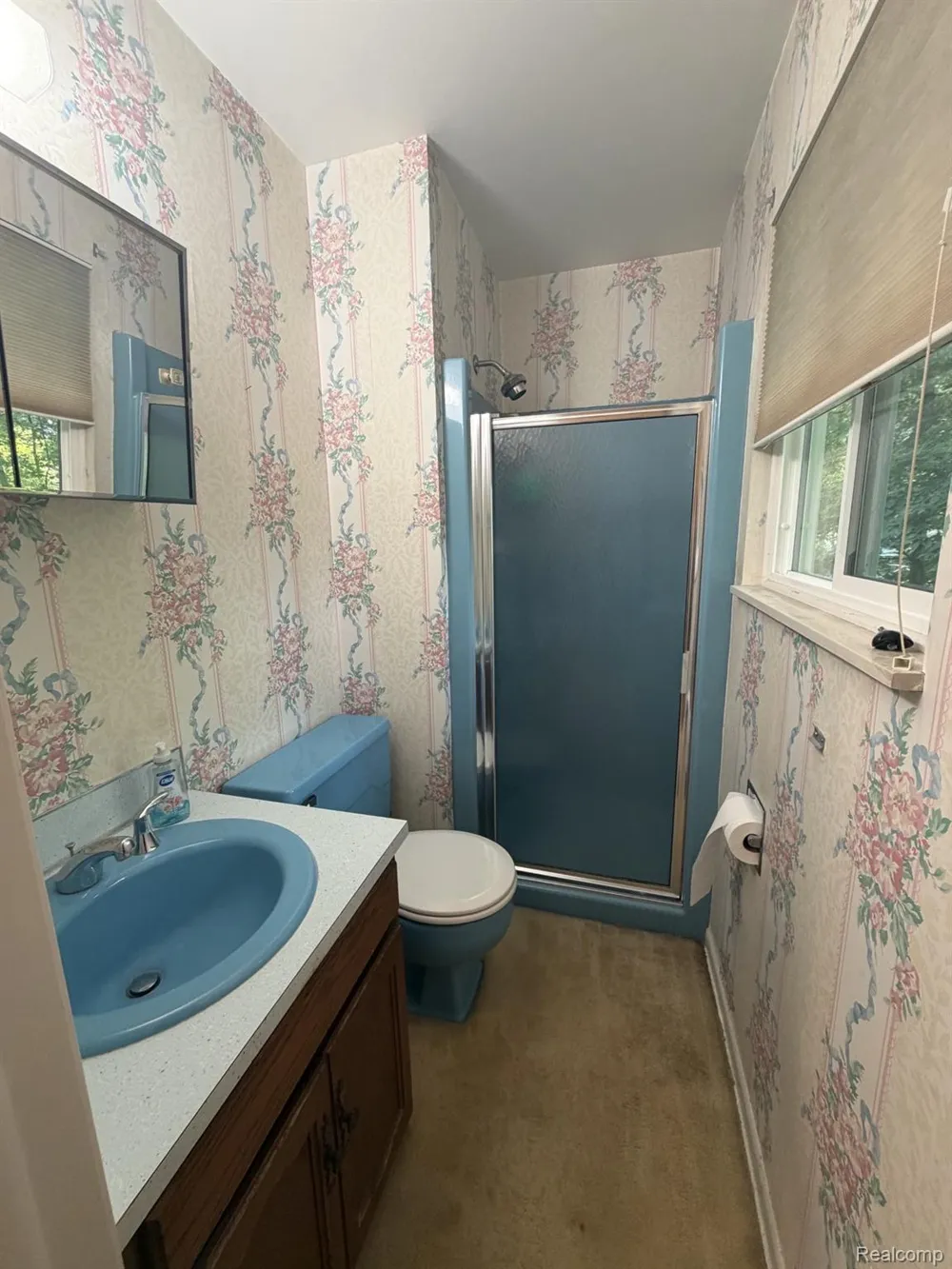 2249 Belle Meade Drive Davison Township, MI 48423