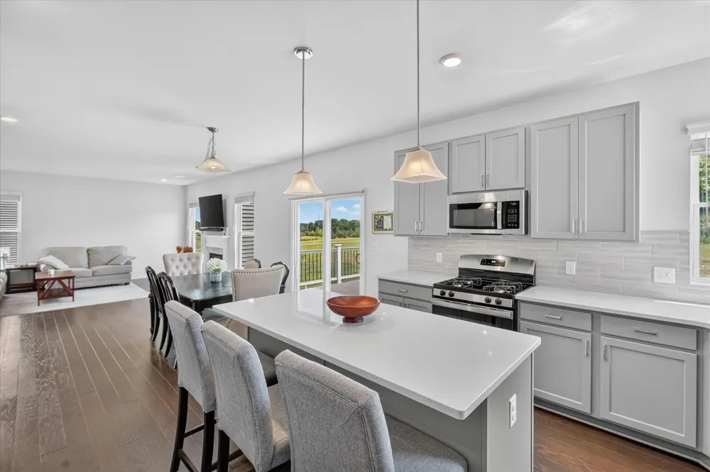 2747 Salt Springs Drive Saline Township, MI 48176