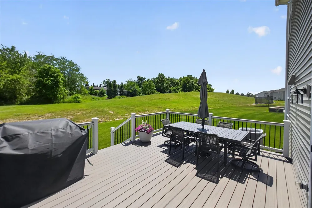2747 Salt Springs Drive Saline Township, MI 48176