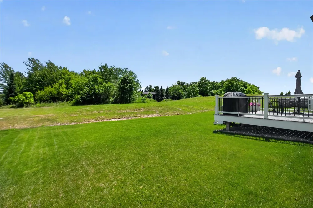 2747 Salt Springs Drive Saline Township, MI 48176