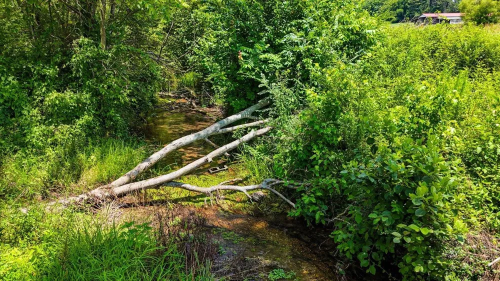 0 Flintsprings Road SE Cleveland, TN 37323