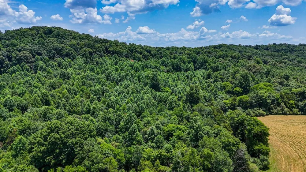0 Flintsprings Road SE Cleveland, TN 37323