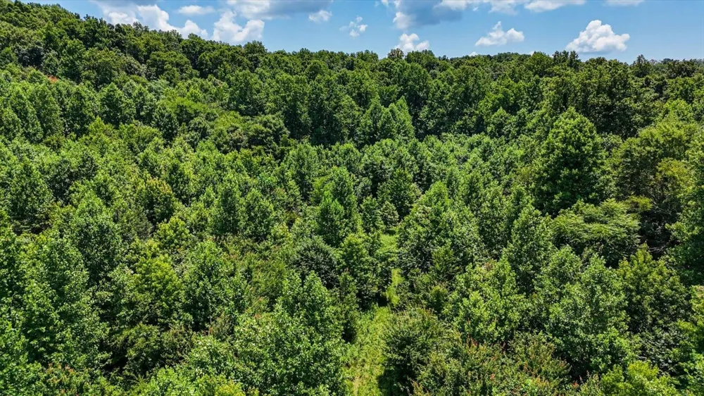 0 Flintsprings Road SE Cleveland, TN 37323