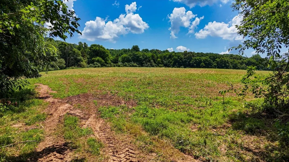 0 Flintsprings Road SE Cleveland, TN 37323