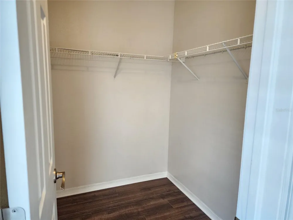13404 IRONTON DRIVE Tampa, FL 33626