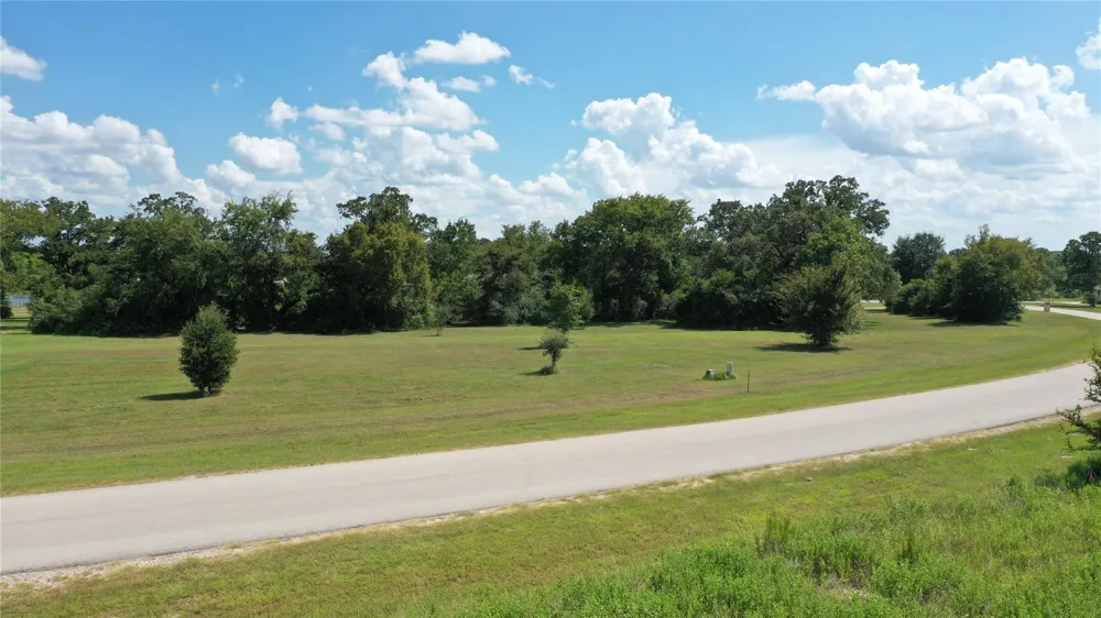10239 Henley Cove Iola, TX 77861