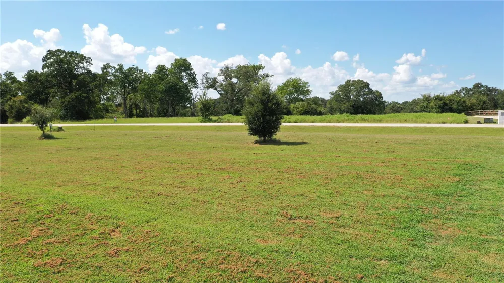 10239 Henley Cove Iola, TX 77861