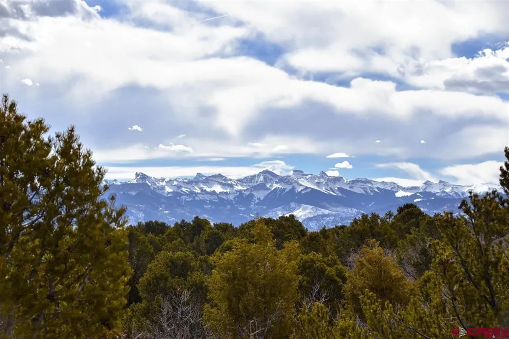 5 Government Springs Road Montrose, CO 81403