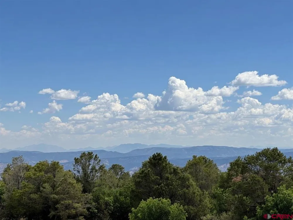 5 Government Springs Road Montrose, CO 81403