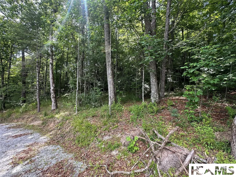 0 Webbmont Rd Highlands, NC 28741